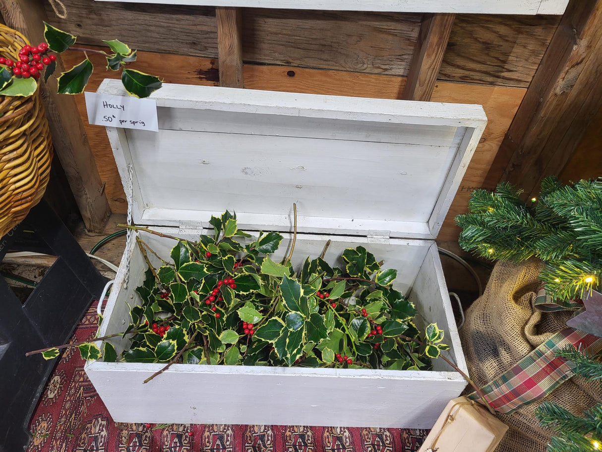 Holly Sprigs