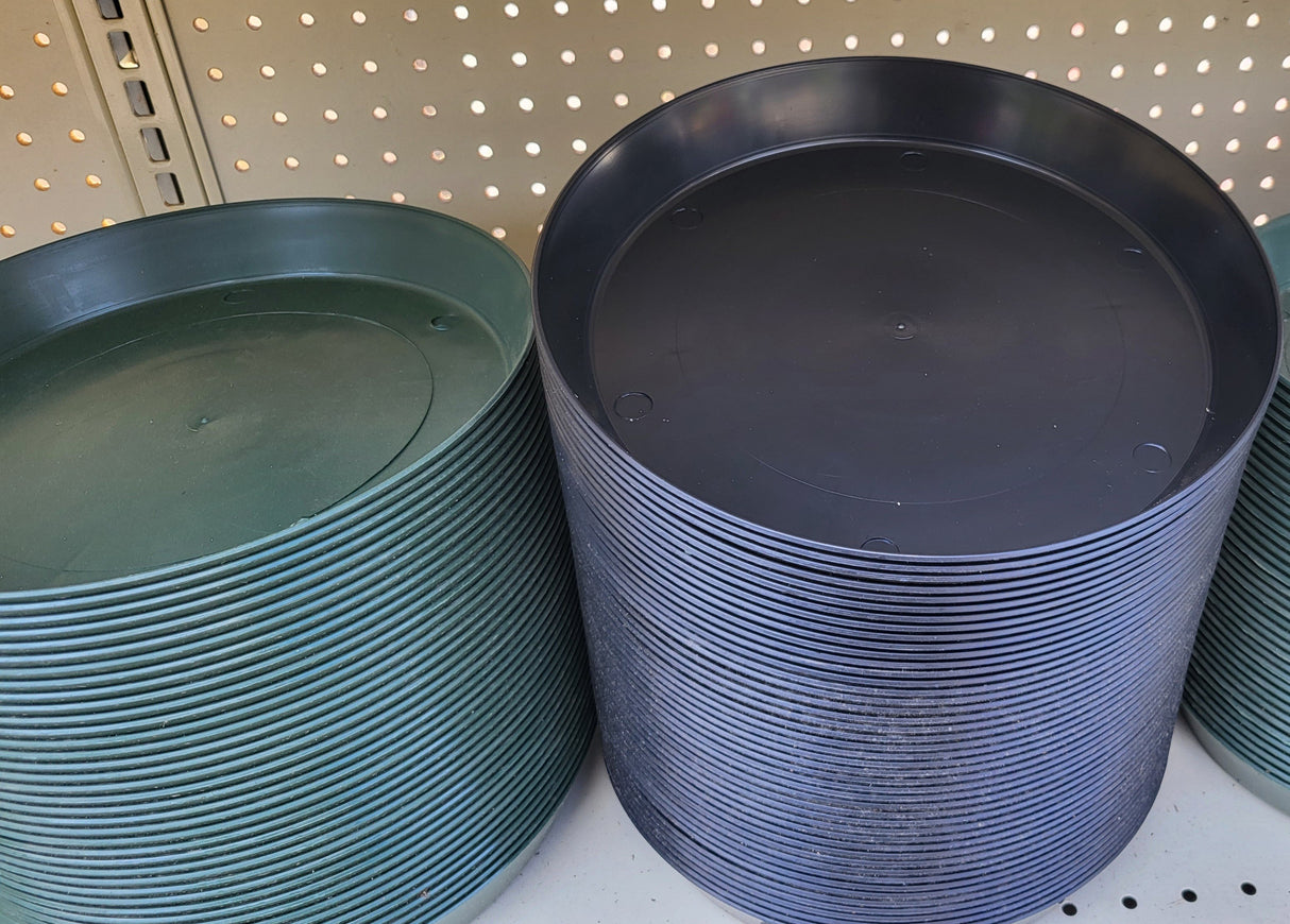 Rigid Saucer