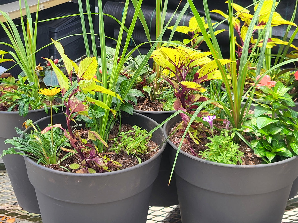 Green Thumb Planter