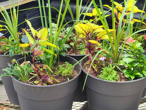 Green Thumb Planter