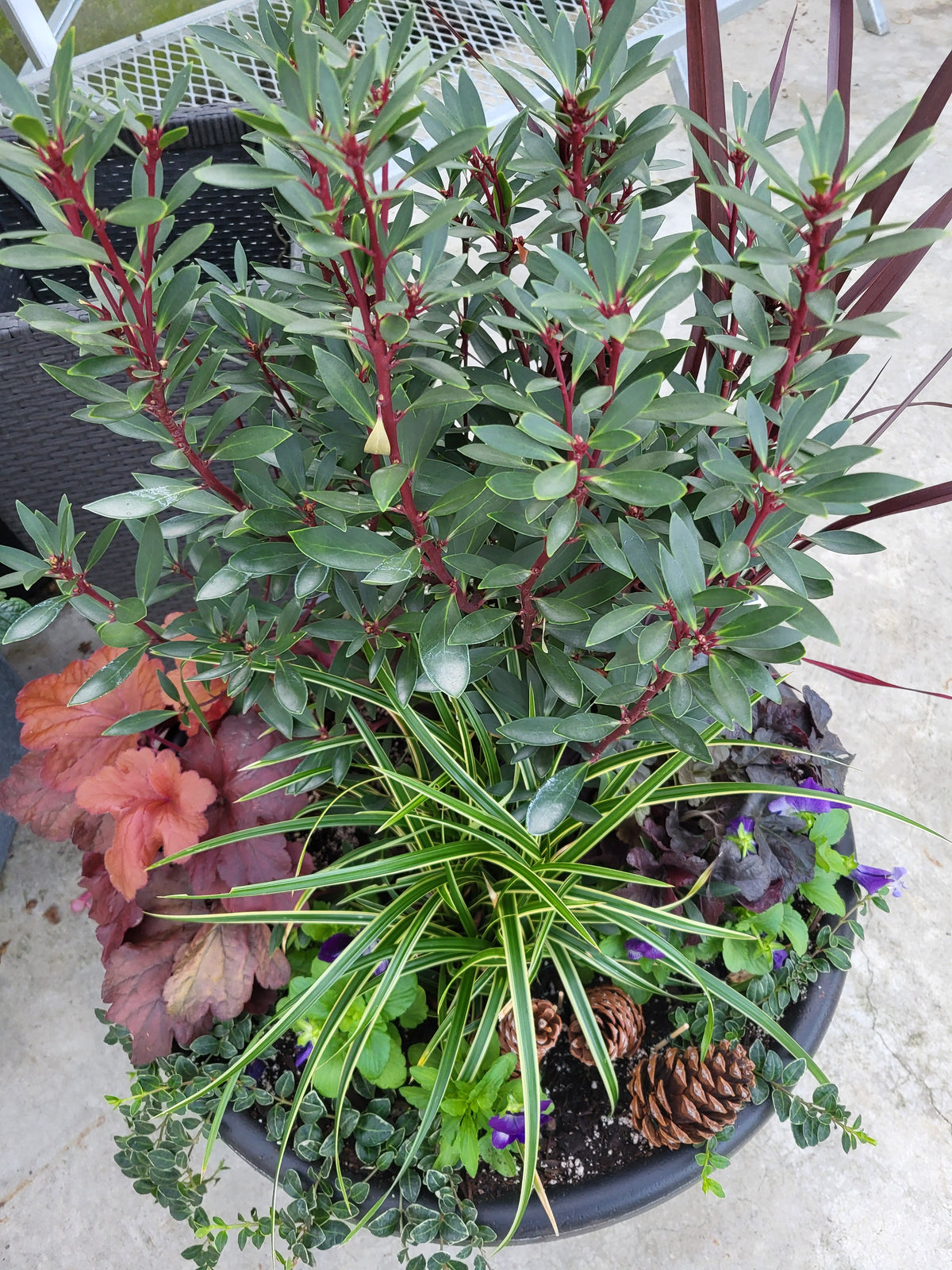 Fall Planter