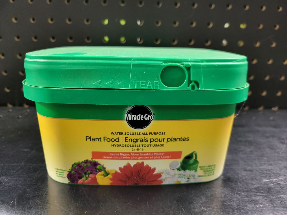 Scotts - Miracle Gro All Purpose 24-8-16