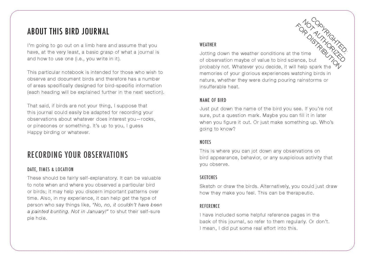 The Big Dumb Bird Journal