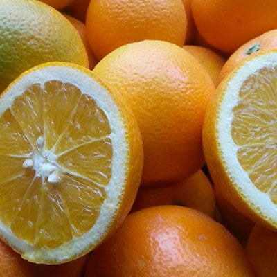Citrus hybrid 'Ambersweet'
