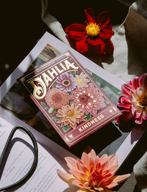 Dahlia (Kindness) - Floriography Seed Packet