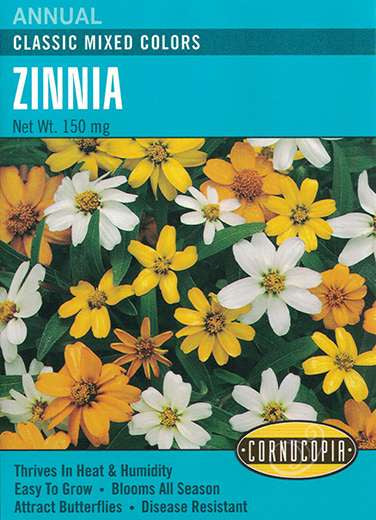 Zinnia - Zinnia Classic Mixed Colors