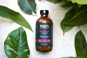 MAYA Plant Elixir -Concentrate