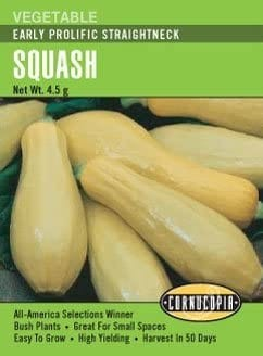 Squash - Summer Early Prolific Straightneck