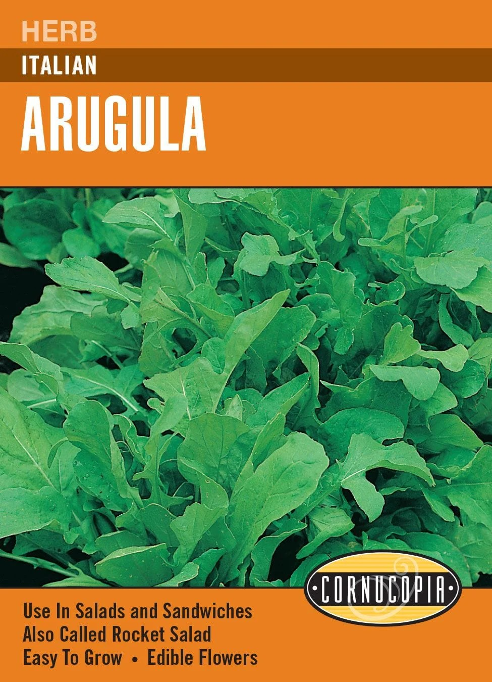 Arugula - Arugula