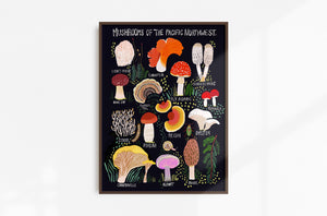 Mushrooms of the Pacific Northwest Art Print