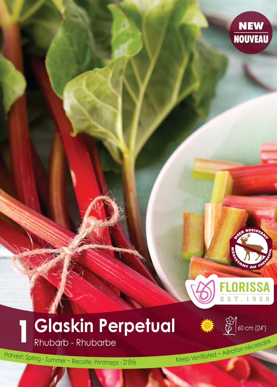RHUBARB Glaskin's Perpetual