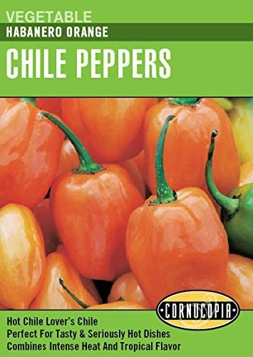 Pepper - Chile Habanero Orange