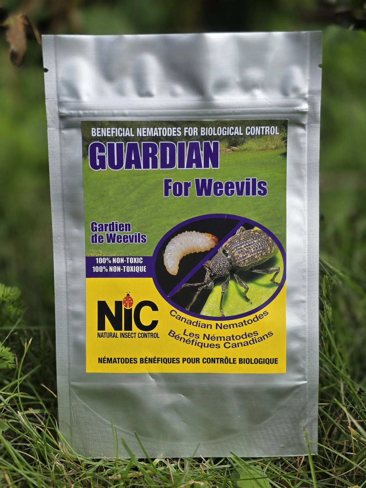 Guardian for Weevils
