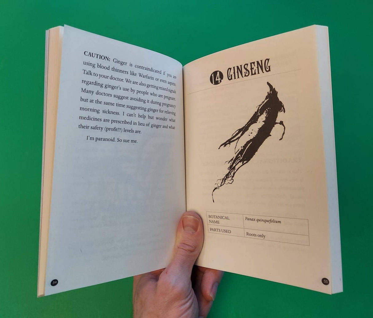 Everyday Herbal Teamaking: Health, Fun, and Self-Care Guide