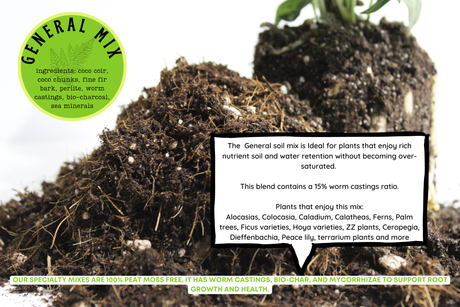 General blend-Potting soil for indoor plants