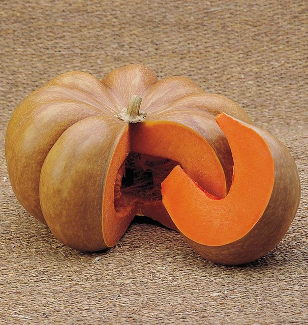 Pumpkins - Musquee D'Hiver de Provence