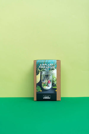 Airplant Terrarium Kit : Jar