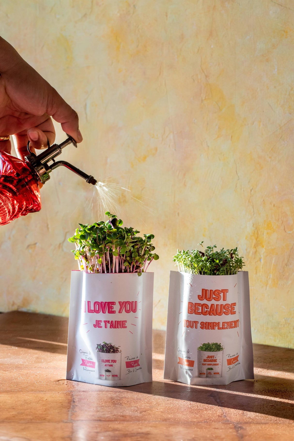 Rad Dad Organic Microgreens Grow Card
