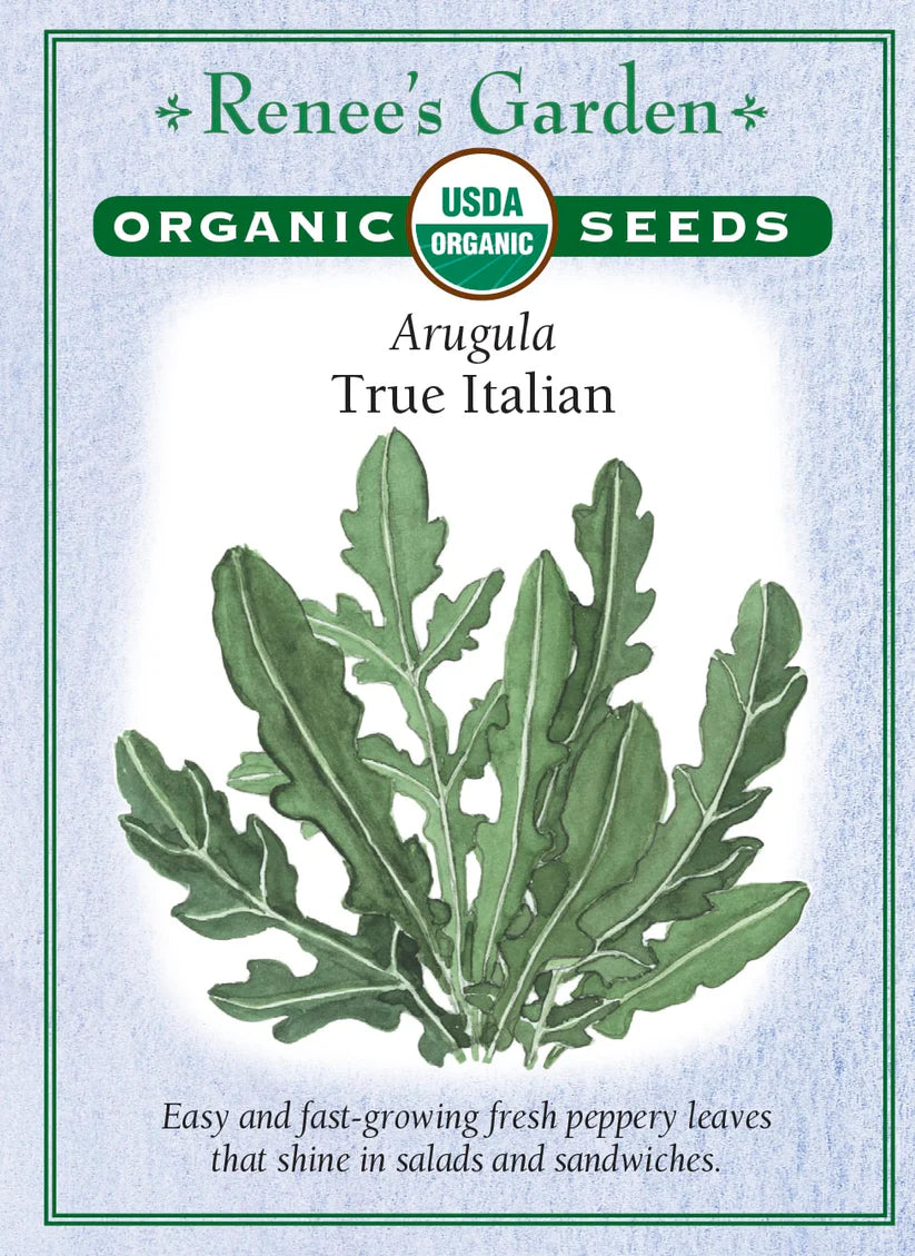 Arugula - Arugula True Italian Organic
