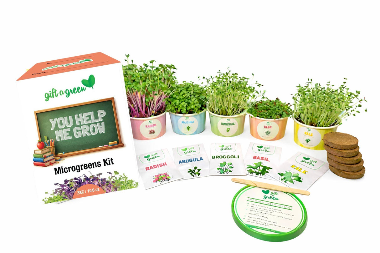 Teacher Gift Box - Sow and Grow Organic Microgreens
