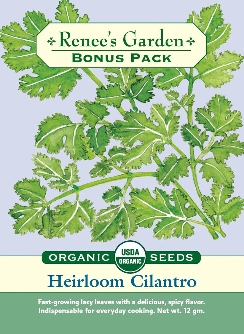Cilantro - Bonus Pack