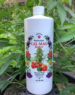 Falling Leaf - CALMAG Boost