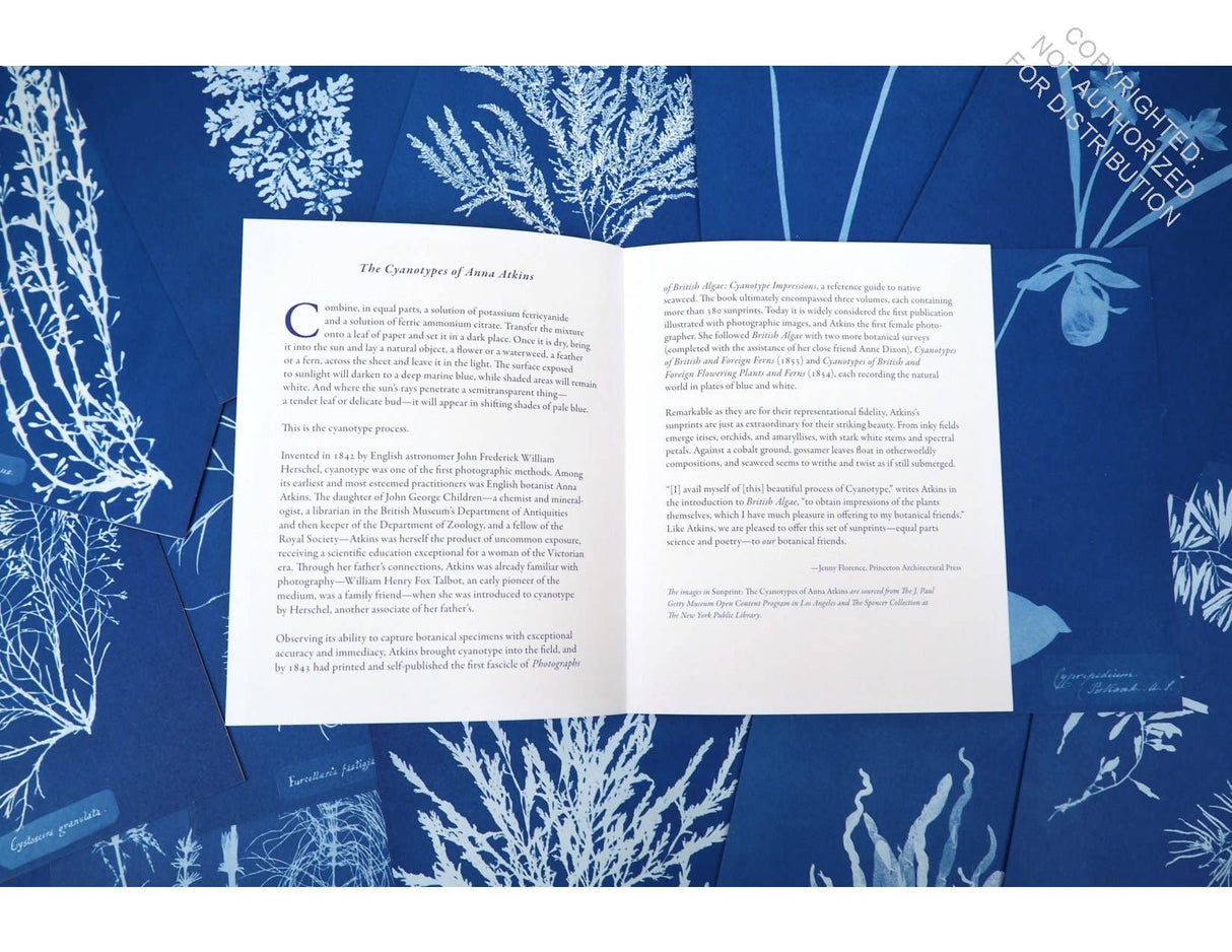 The Cyanotypes of Anna Atkins