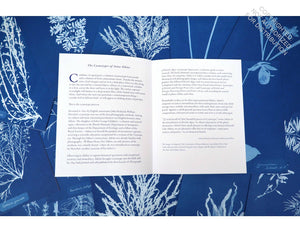 The Cyanotypes of Anna Atkins