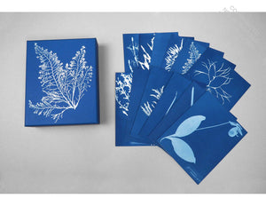 The Cyanotypes of Anna Atkins
