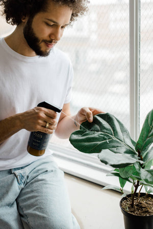 MAYA Plant Elixir -Concentrate