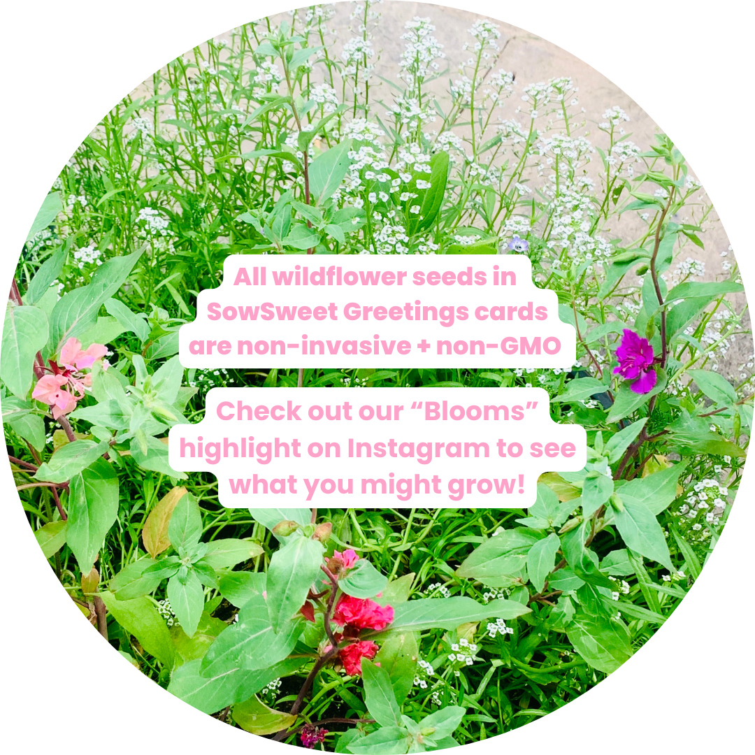 Plant Yourshelf - Colour-me-in Postcard