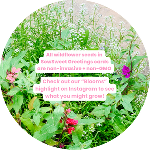 Pilea Nonsense - Colour-me-in Postcard