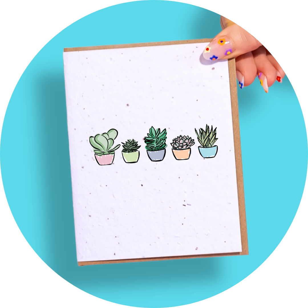 Succulents - Greeting Card