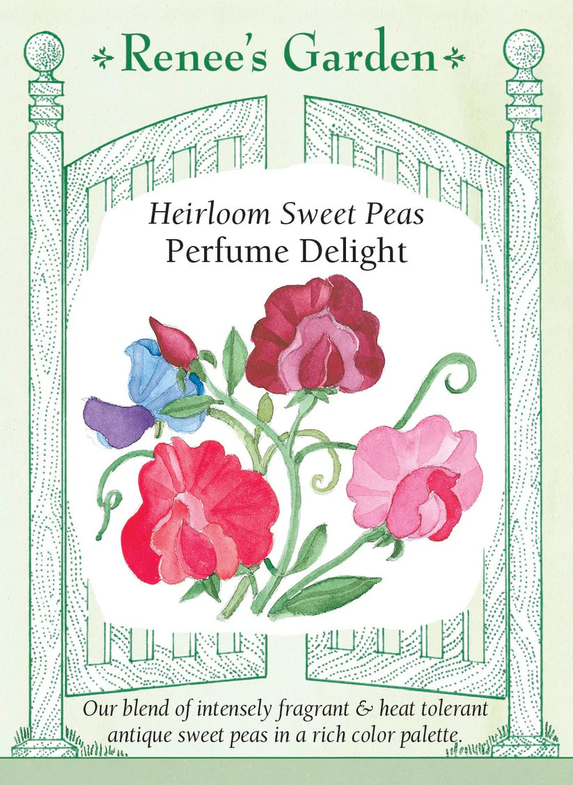 Sweet Pea - Perfume Delight