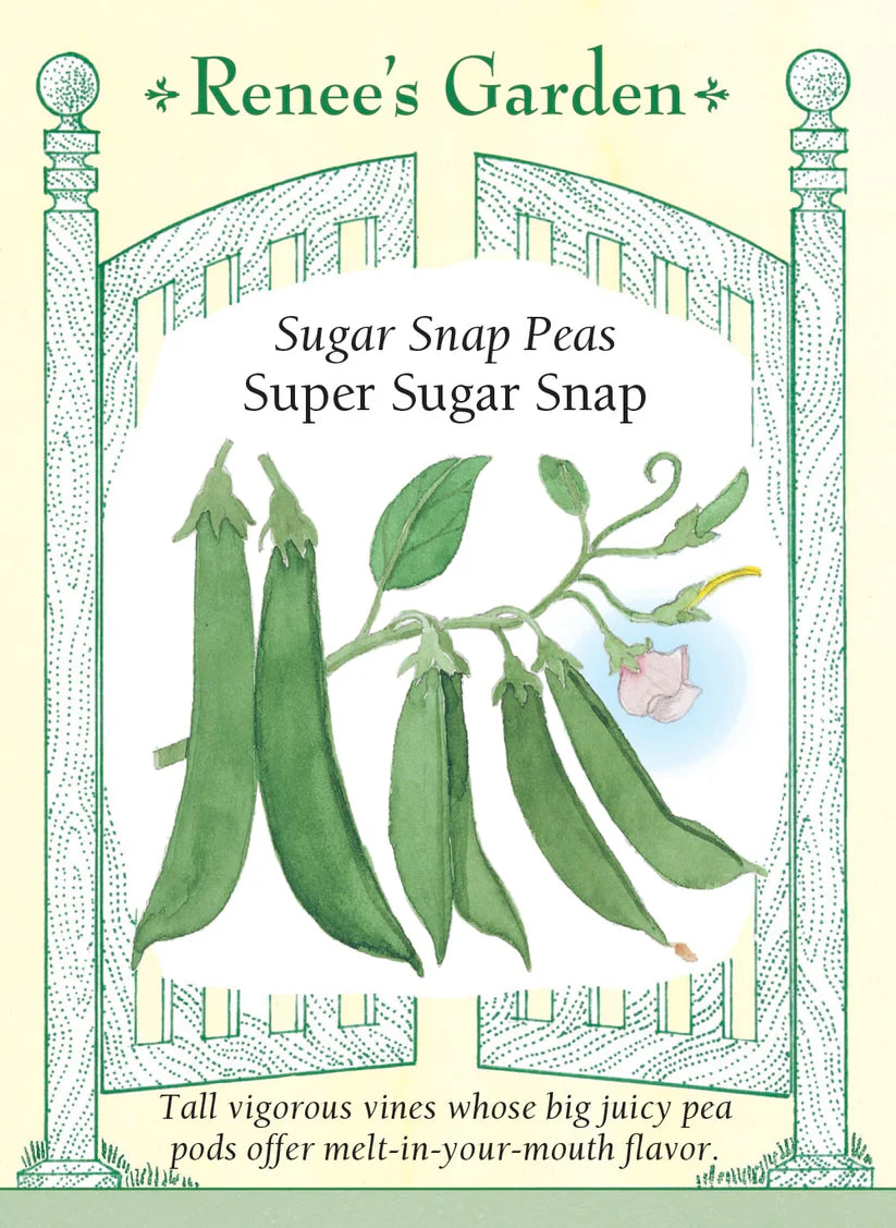 Peas - Super Sugar Snap
