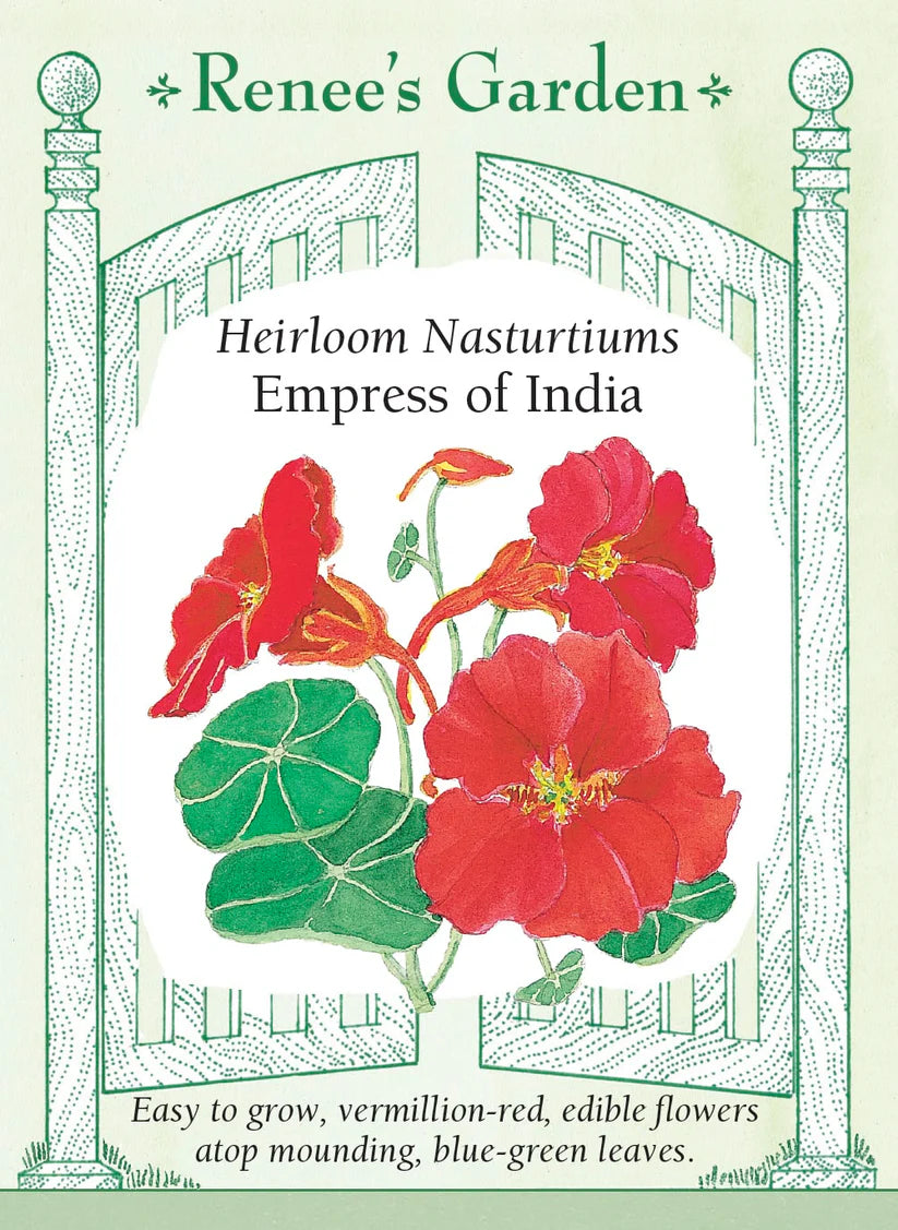 Nasturtiums - Empress of India