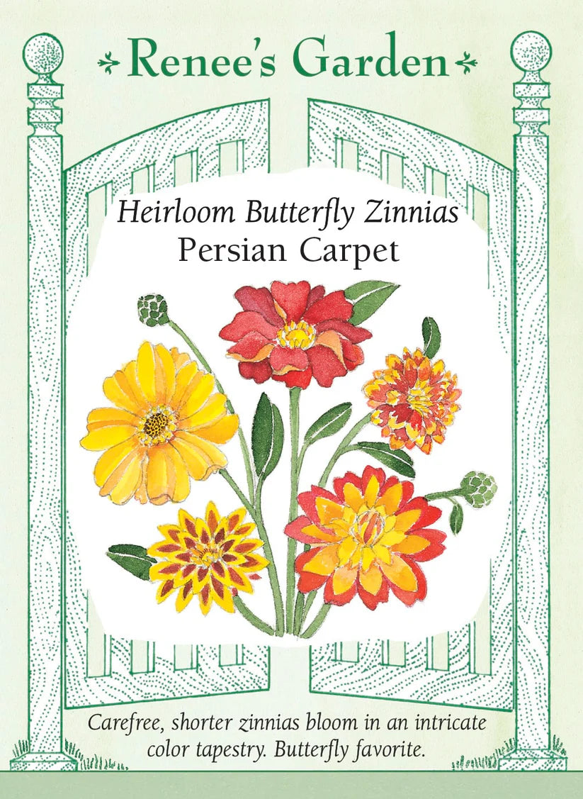 Zinnia - Persian Carpet Heirloom Butter Fly