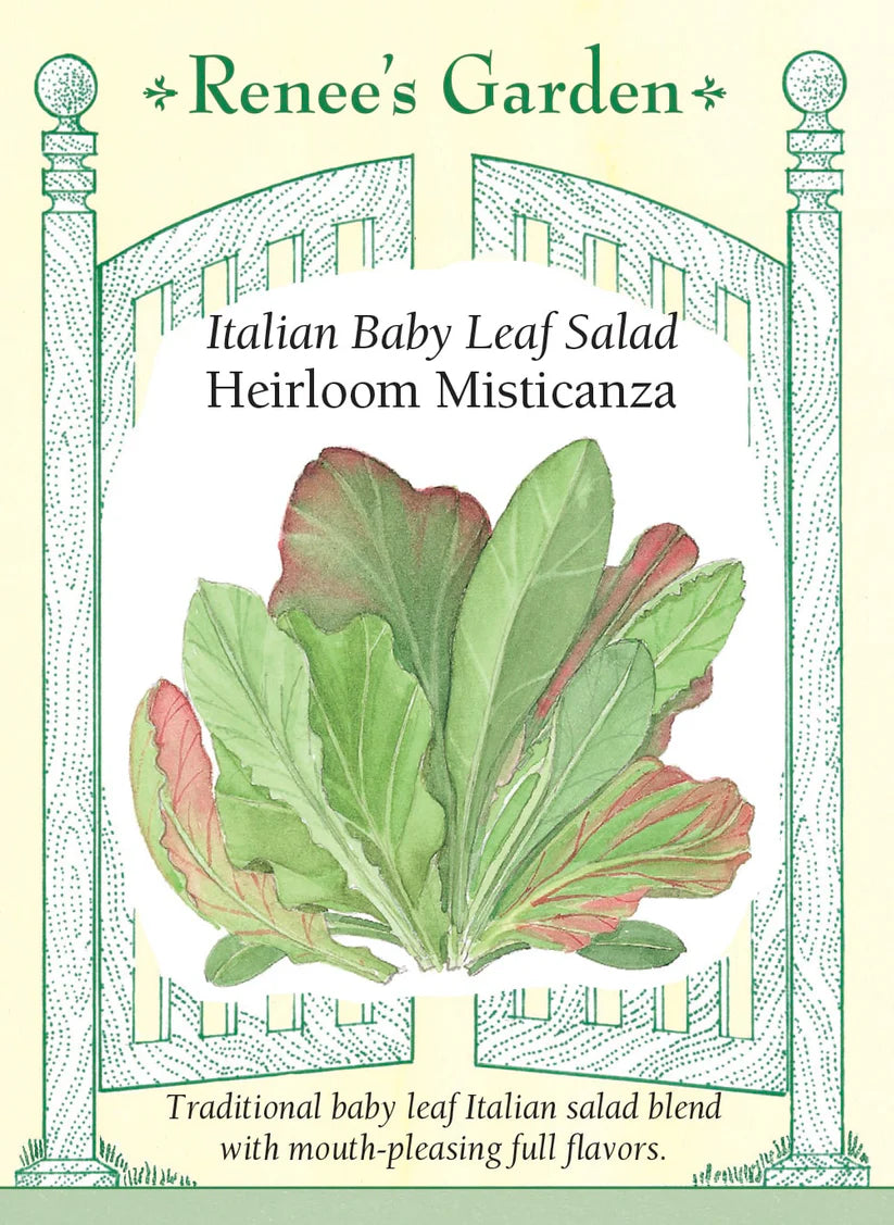 Lettuce - Italian Misticanza Mesclun