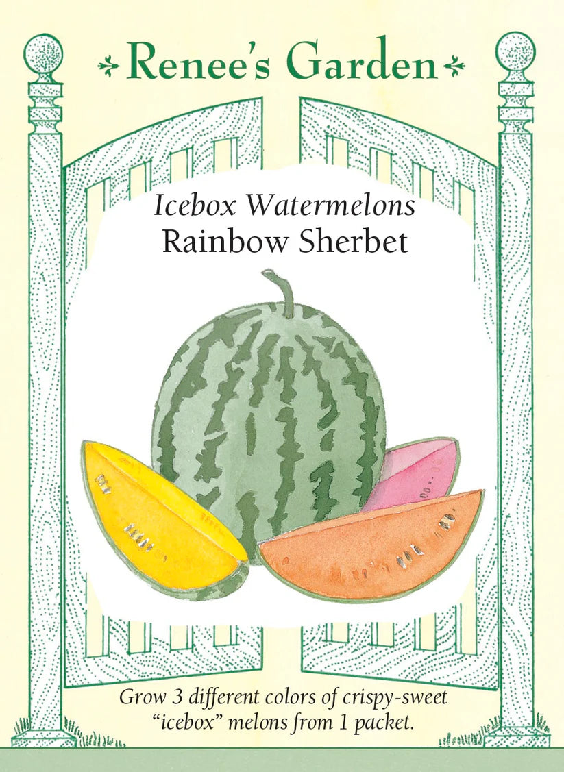 Melons - Watermelon Rainbow Sherbet Trio