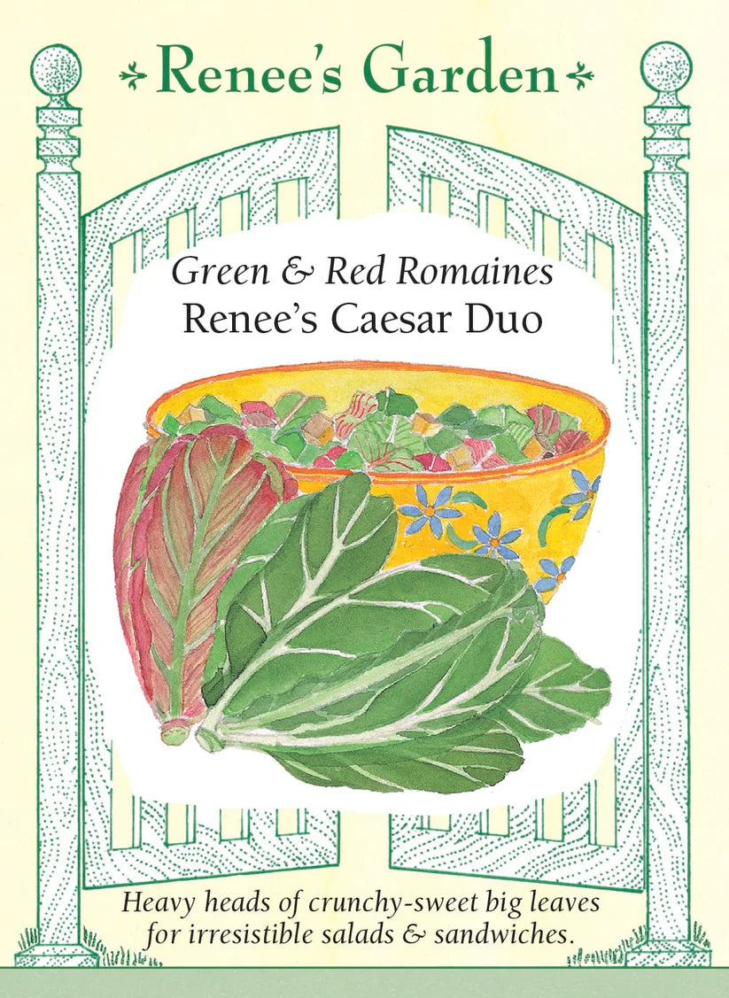 Lettuce - Renee's Caesar Romaine Duo