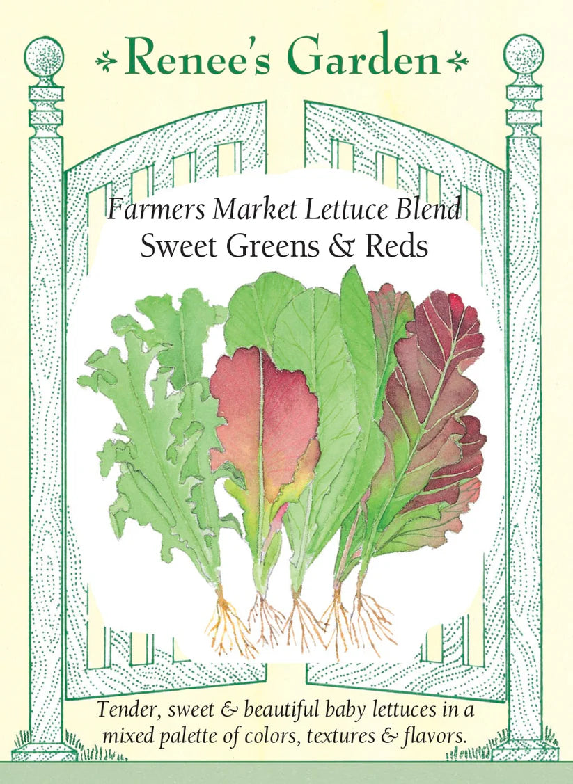 Lettuce - Farmer's Market Lettuce Blend