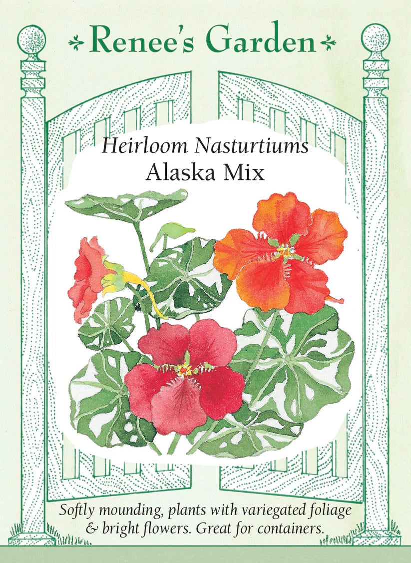 Nasturtiums - Alaska Mix