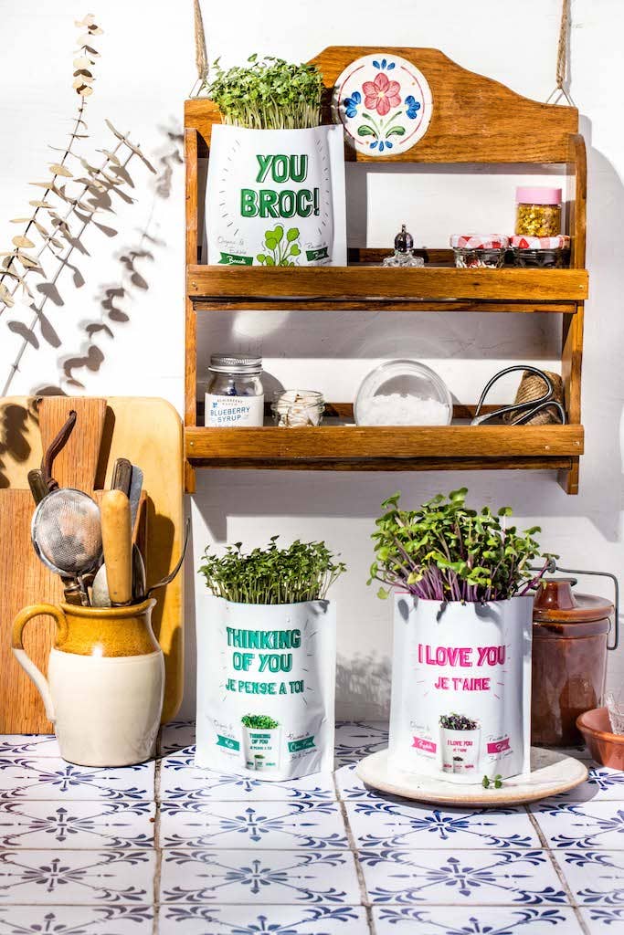 You're Kind of a Big Dill Organic Grow Card