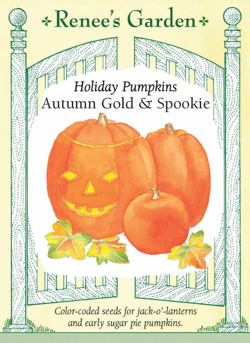 Pumkin - Autumn Gold & Spookie Mix