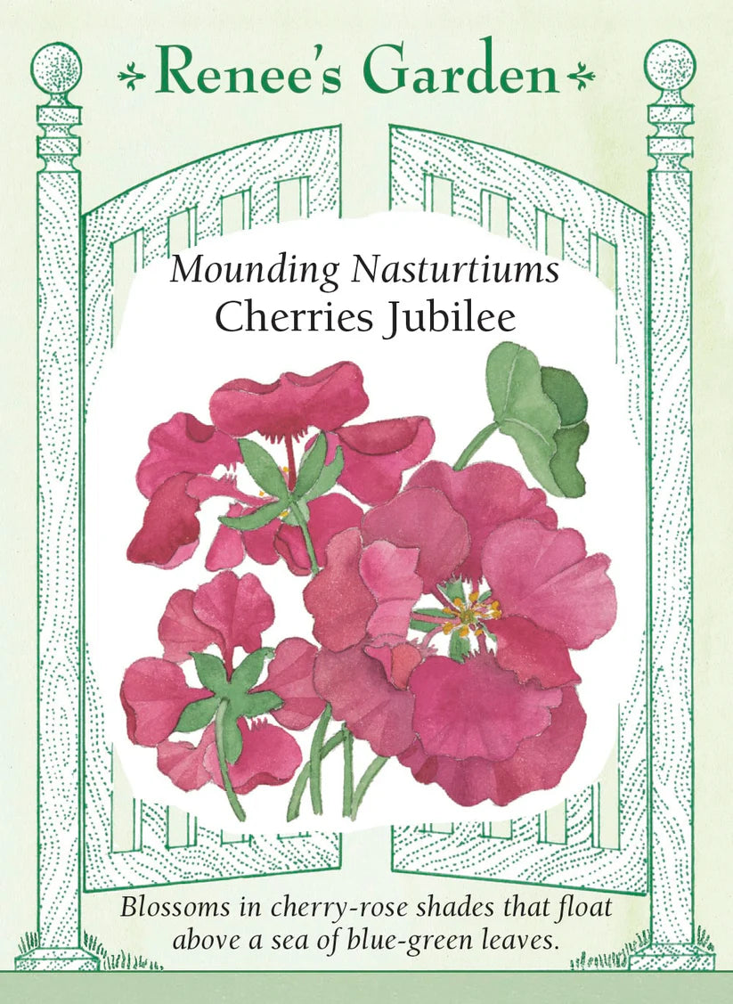 Nasturtium - Nasturtium Cherries Jubilee