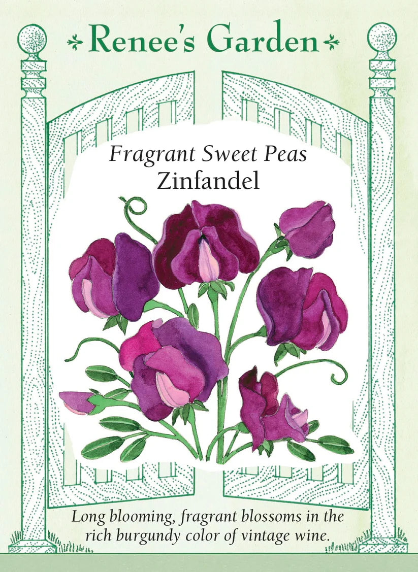 Sweet Peas - Zinfandel