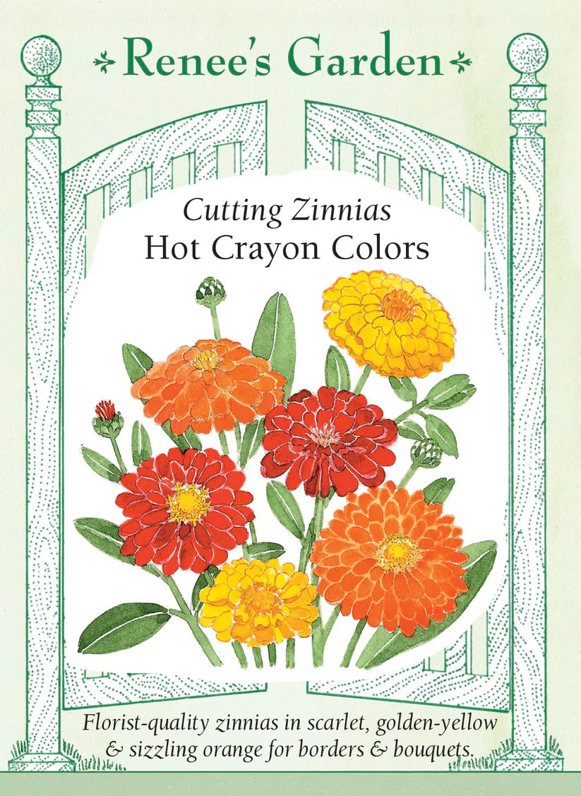 Zinnias - Hot Crayon Colors