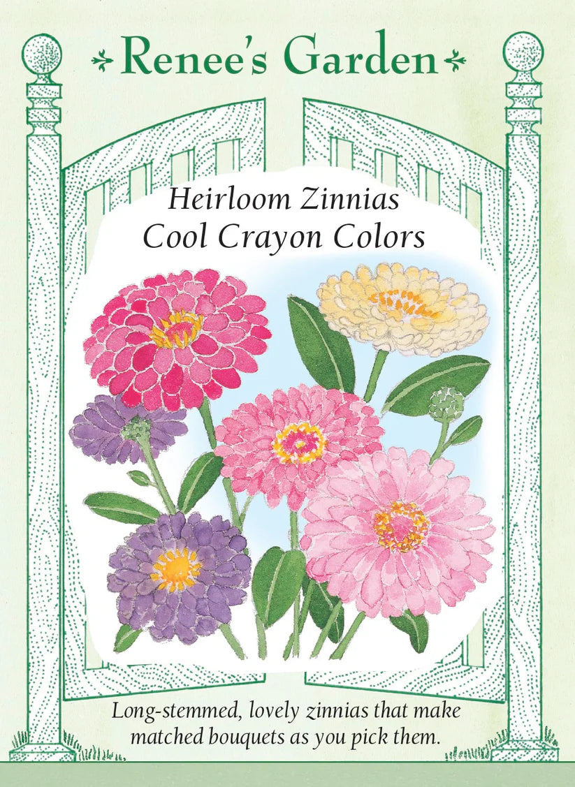 Zinnia - Cool Crayon Colors