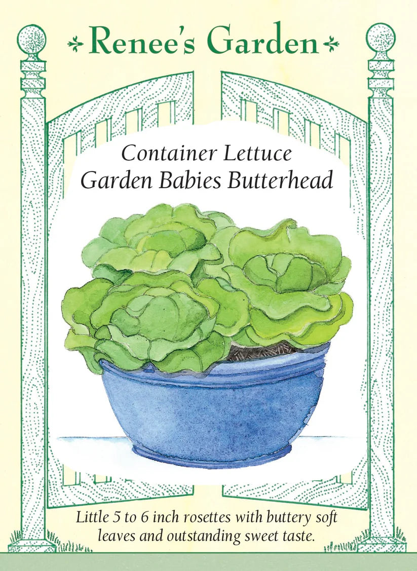Lettuce - Garden Babies Lettuce