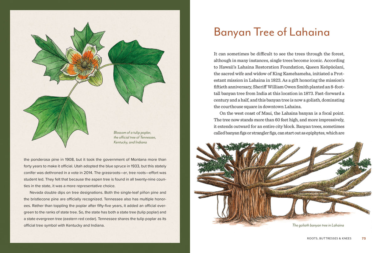 Knowing the Trees